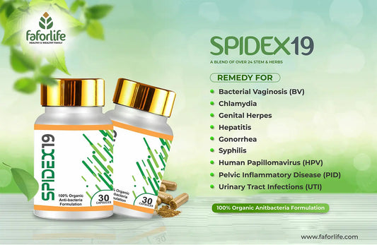 Two bottles of Spidex 19 capsules with gold caps and green design next to list of health conditions treated including BV, chlamydia, herpes, hepatitis